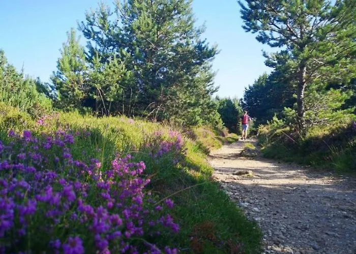 Campingplatz Spacieux Pour 6 Personnes A Aires - Api-1-52-850 Les Aires